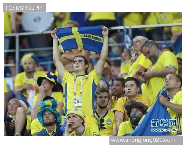 2006世界杯经典对决德国队与瑞典队的激烈较量回顾