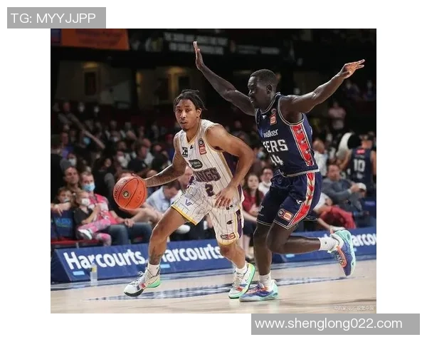 伊拉瓦拉老鹰迎战新西兰破坏者期待精彩对决与激烈竞争 伊拉瓦拉老鹰迎战新西兰破坏者期待精彩对决与激烈竞争